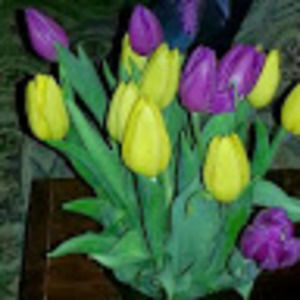 Meet your Posher, Karen